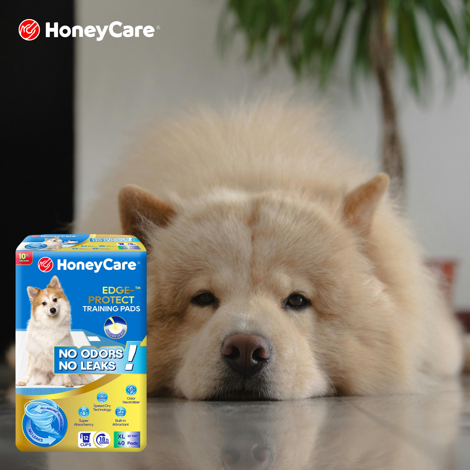 Cat Using Dog Pee Pad? Shocking Truths & Best Fixes