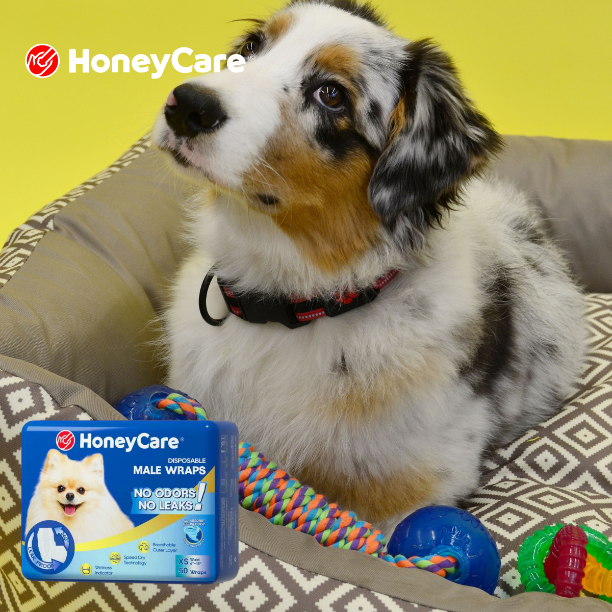Dog Diapers and Pee Pad: Ultimate Male Dog Combo