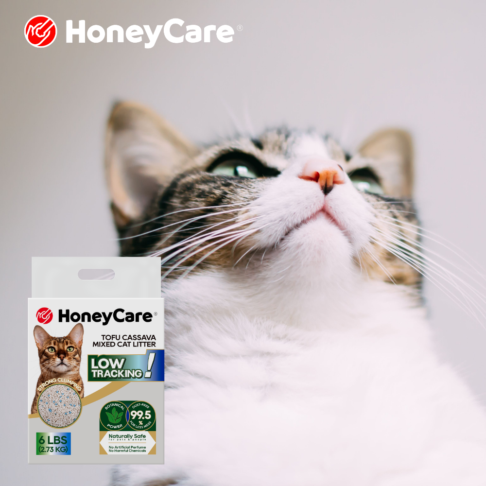 Air Purifier for Cat Litter Dust: Do You Need One?
