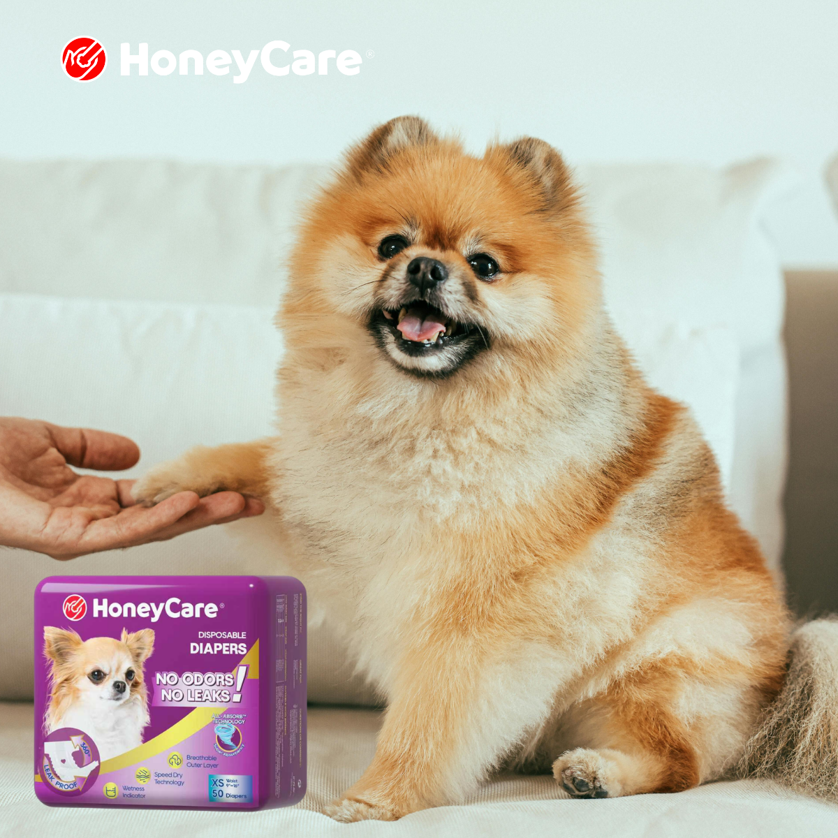 Travel Dog Diapers: 10 Smart Tips for Stress-Free Trips