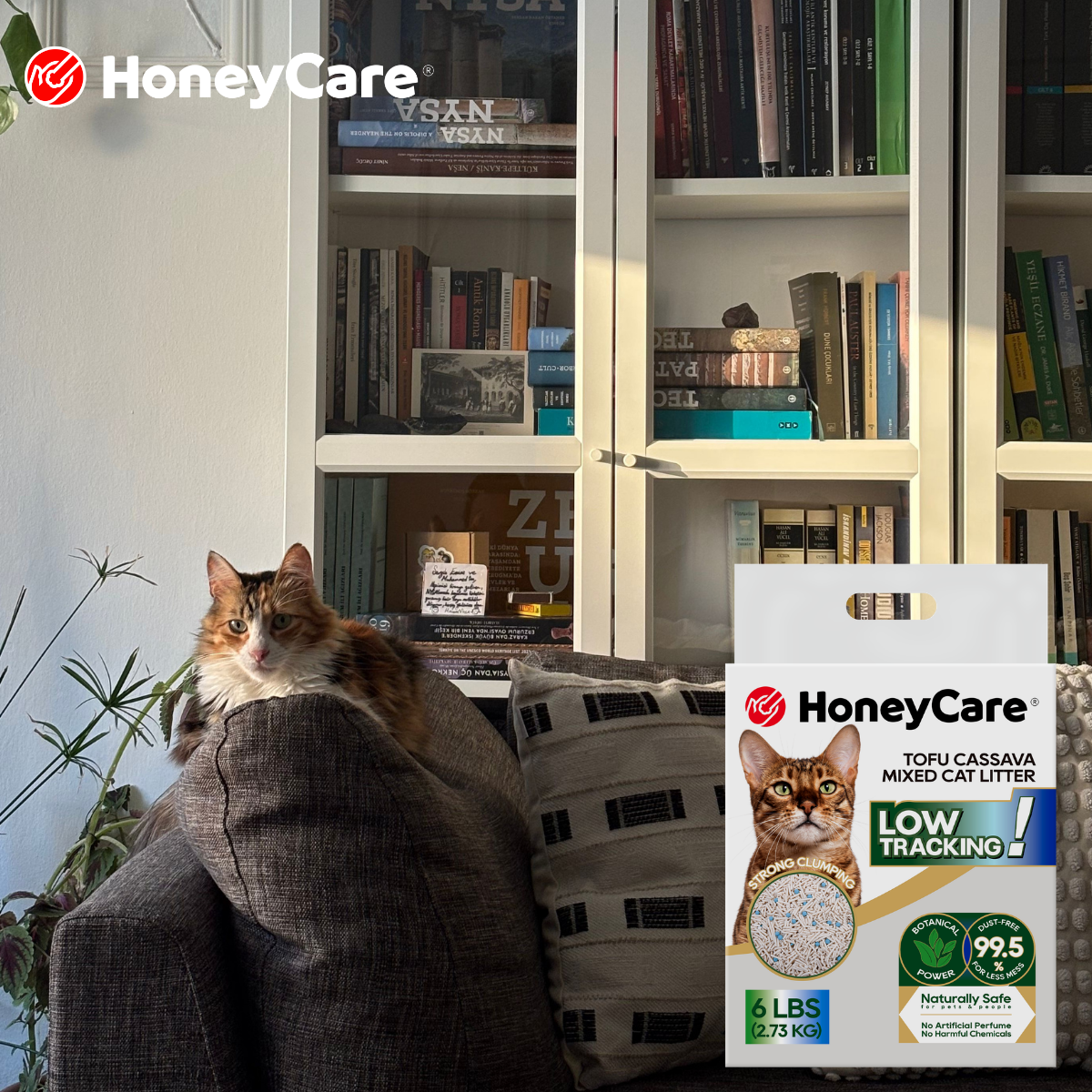 Tofu Cat Litter vs Clay Cat Litter: Which Is Better for Your Home?