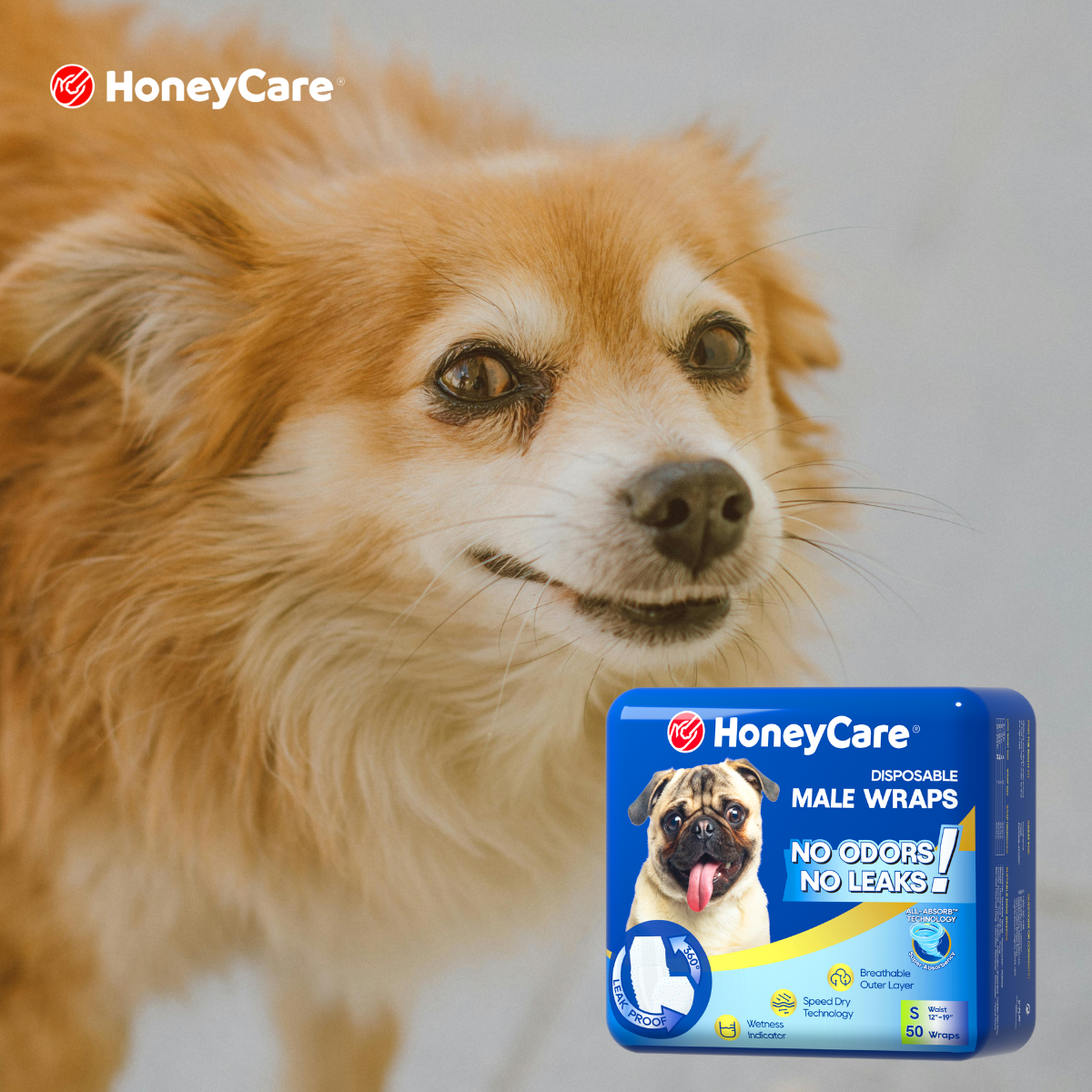 The Truth About Compression Leaks: Why Softness and Science Prevent Dog Diaper Leaks