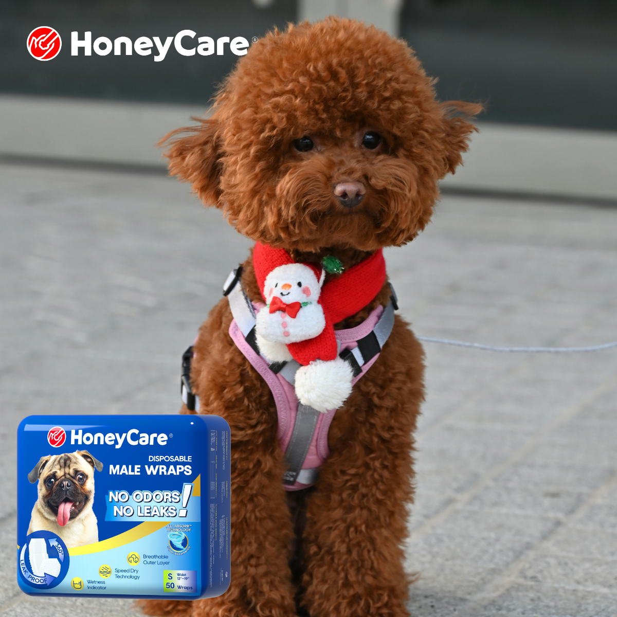 How Dog Diapers Work: The Science of a Clean Home and a Happy Pup