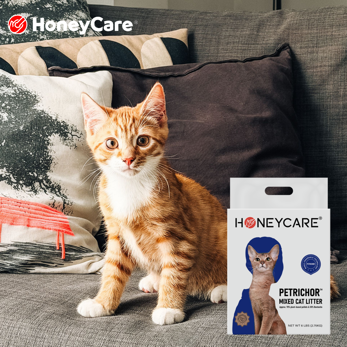 Tofu Cat Litter vs Pine Cat Litter: Which One Fits Your Cat?