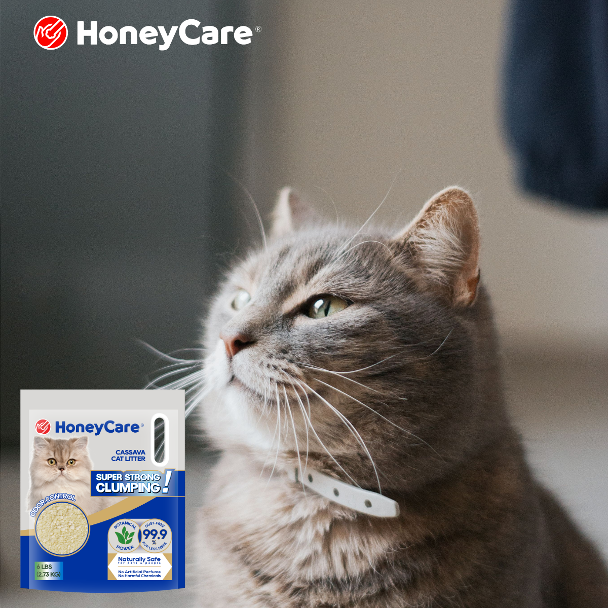 Best Cat Litter for Automatic Litter Boxes: Key Features