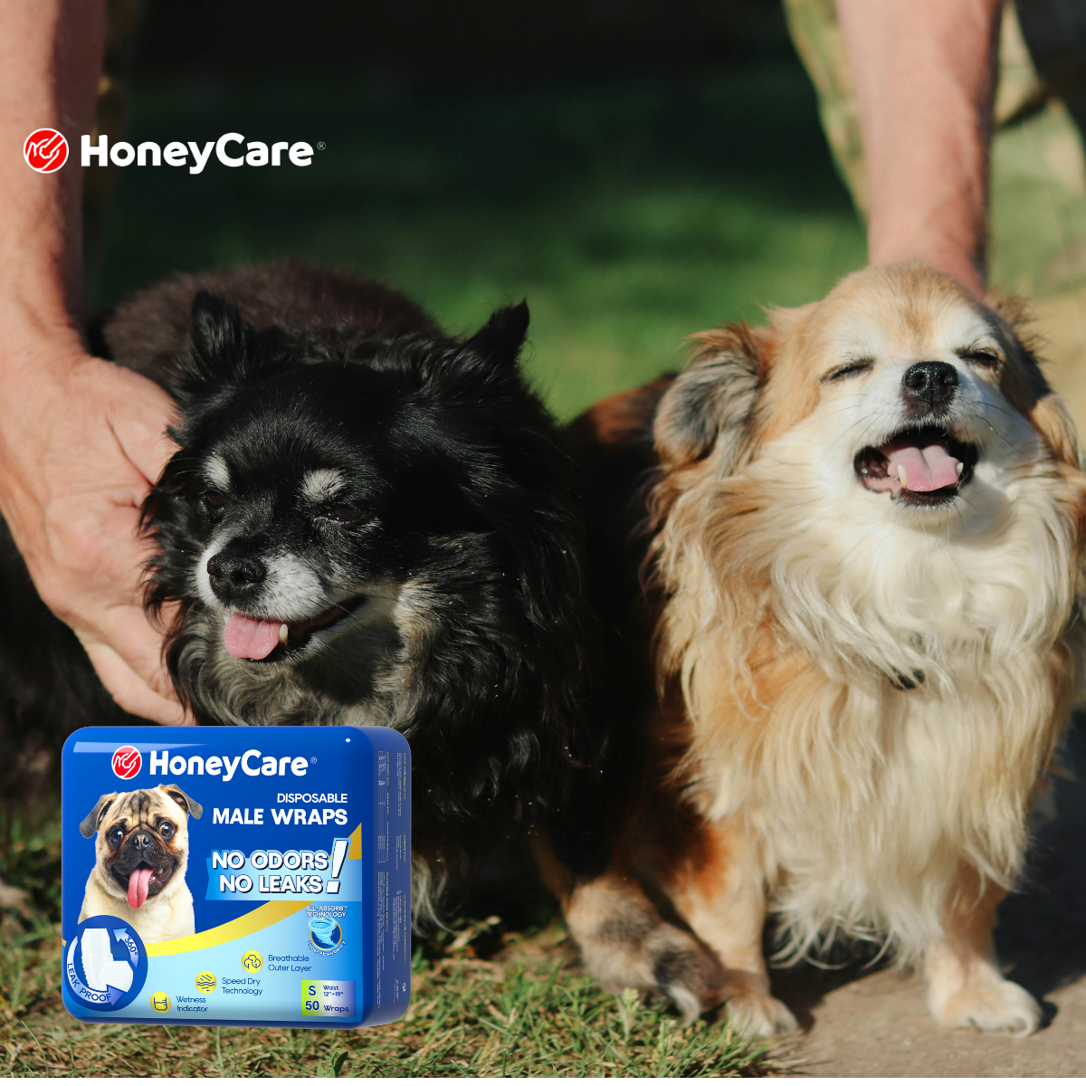 The Science of Airflow: How We Focus on Keeping Your Dog 30% Cooler