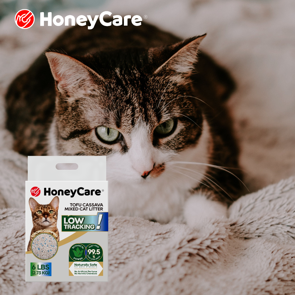 Can You Compost Tofu Cat Litter?