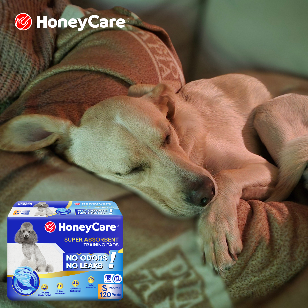 How Many Pee Pads for Puppy? Smart Setup Guide
