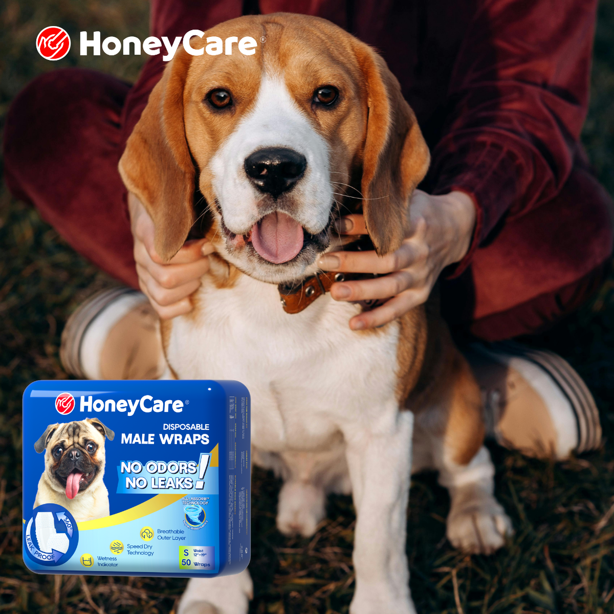 Spay Incontinence Dog: 5 Proven Ways to Manage Leaks Easily