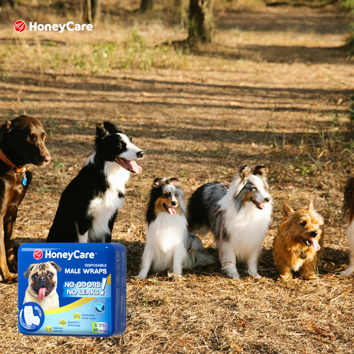 Tiny But Mighty: Finding the Perfect Wraps for Toy Breeds