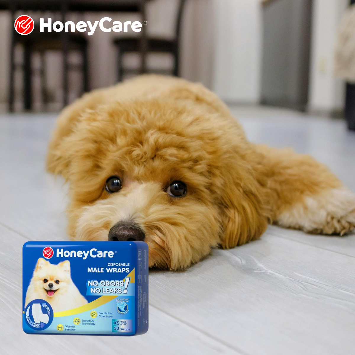 Dog Safe Diaper Cream: 7 Proven Ways to Stop Agonizing Rash
