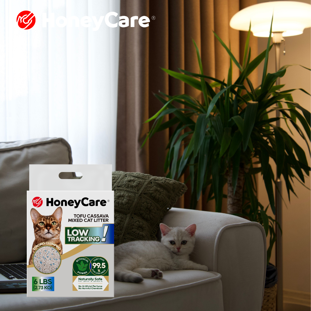 Used Cat Litter Disposal: What’s Safe?