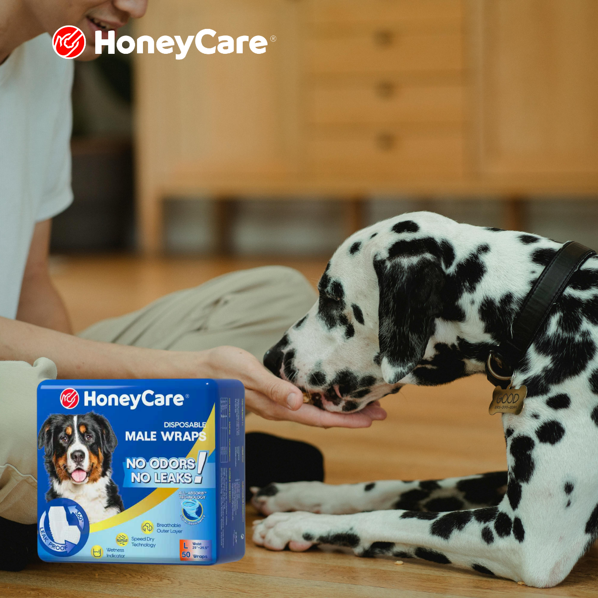 How to Clean Your Dog After Diaper Use — Direction, Products, and the Timing That Actually Matters