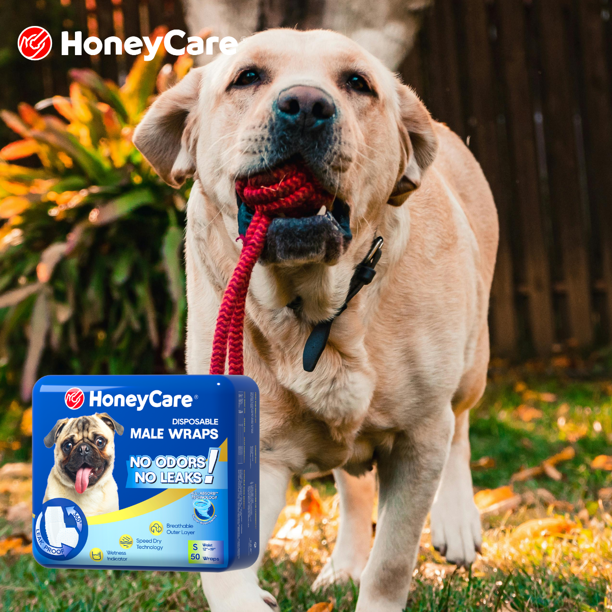 Best Dog Diapers Heat: 9 Powerful Picks for 2026