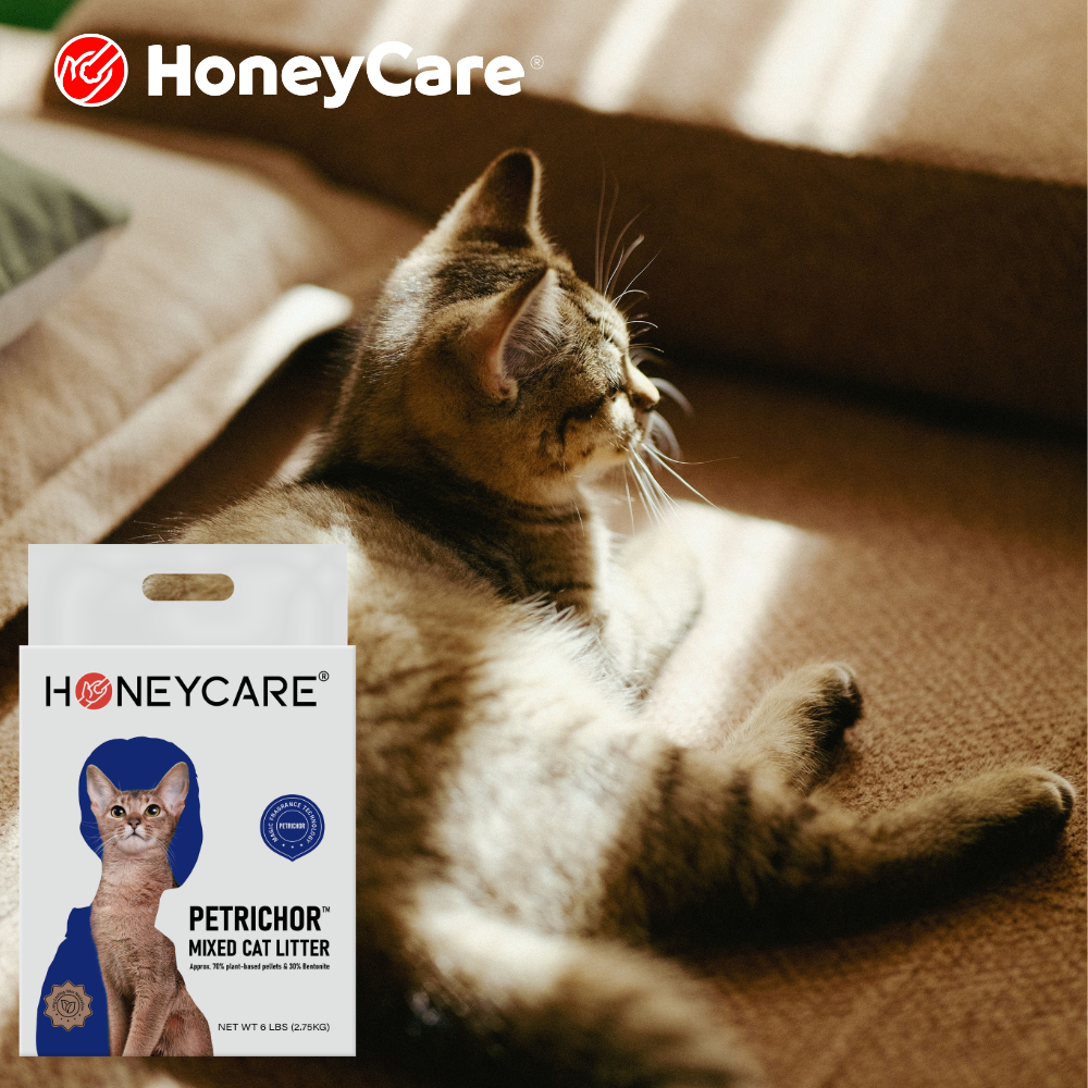 Cat Litter Cost Per Month: Tofu vs Clay vs Crystal