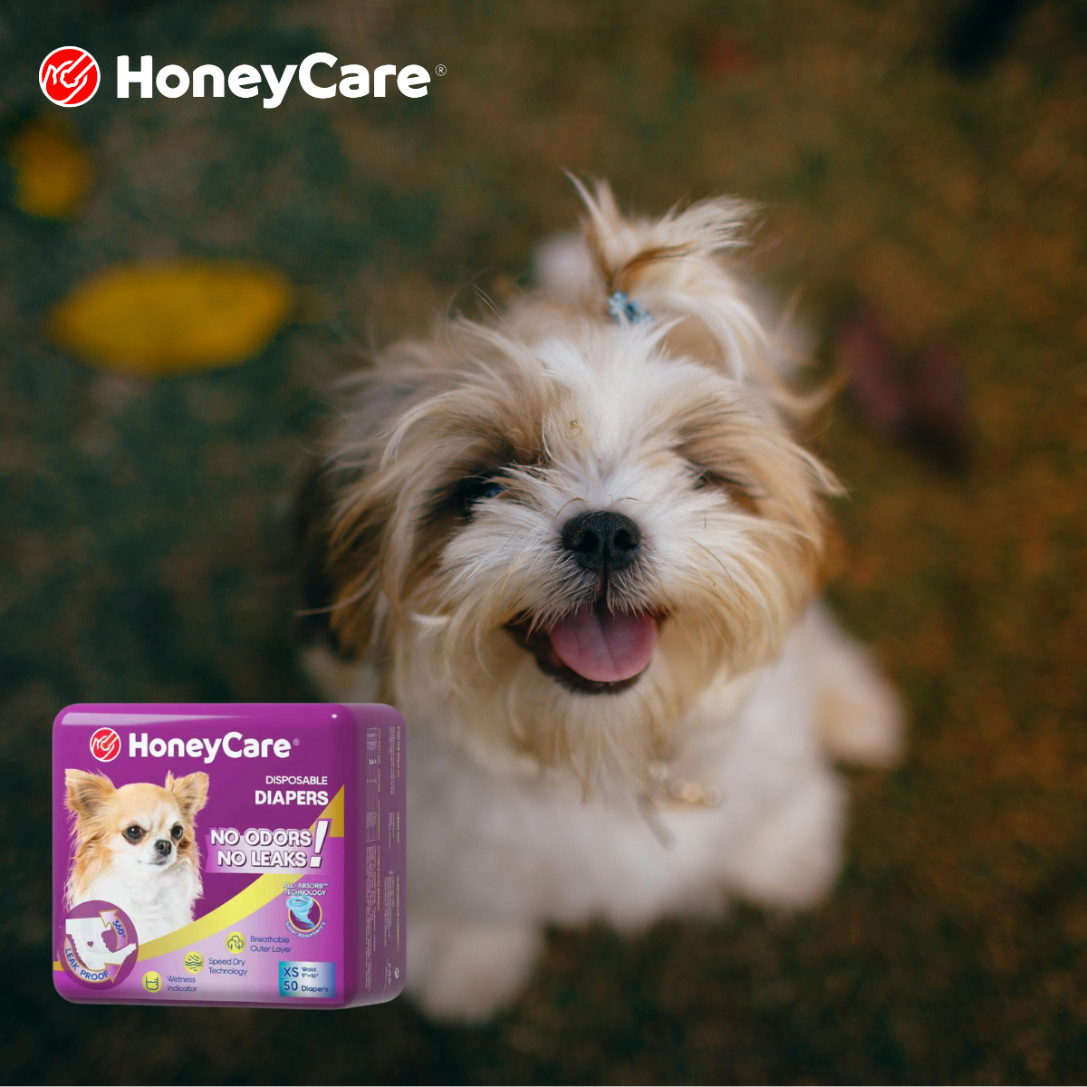 Eco Friendly Dog Diapers: 7 Smart Wins, 4 Hidden Cons
