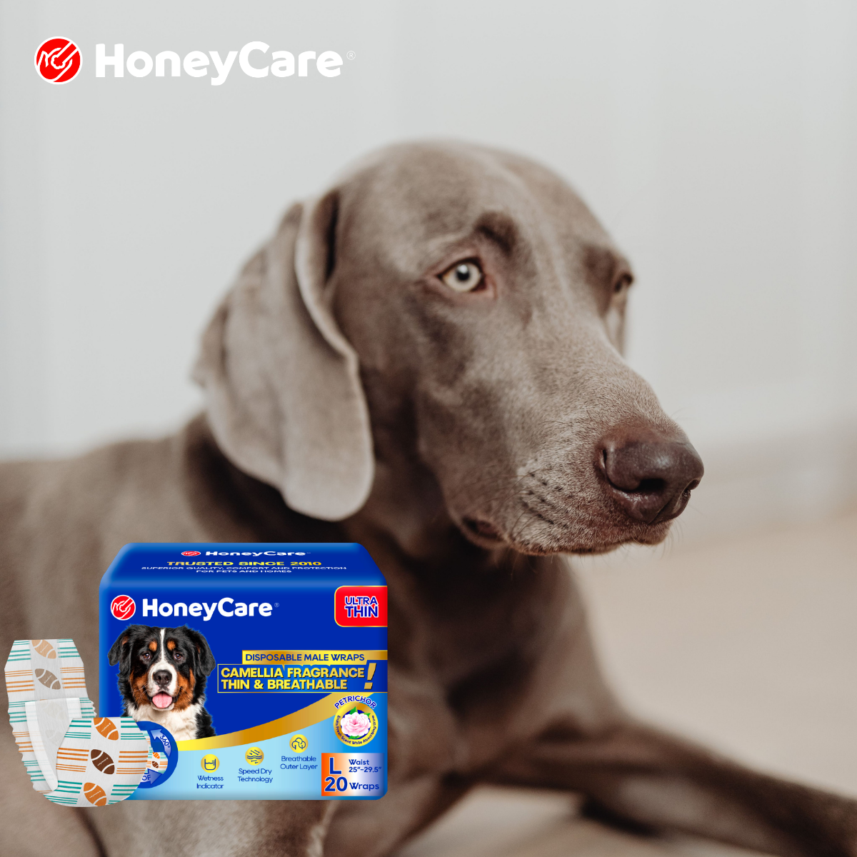 Dog Pee Pads Buying Guide 2026: Sizes, Layers, and What Actually Matters