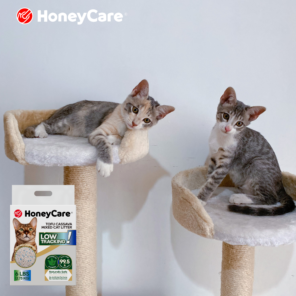 Cat Litter Not Controlling Odor? What to Adjust