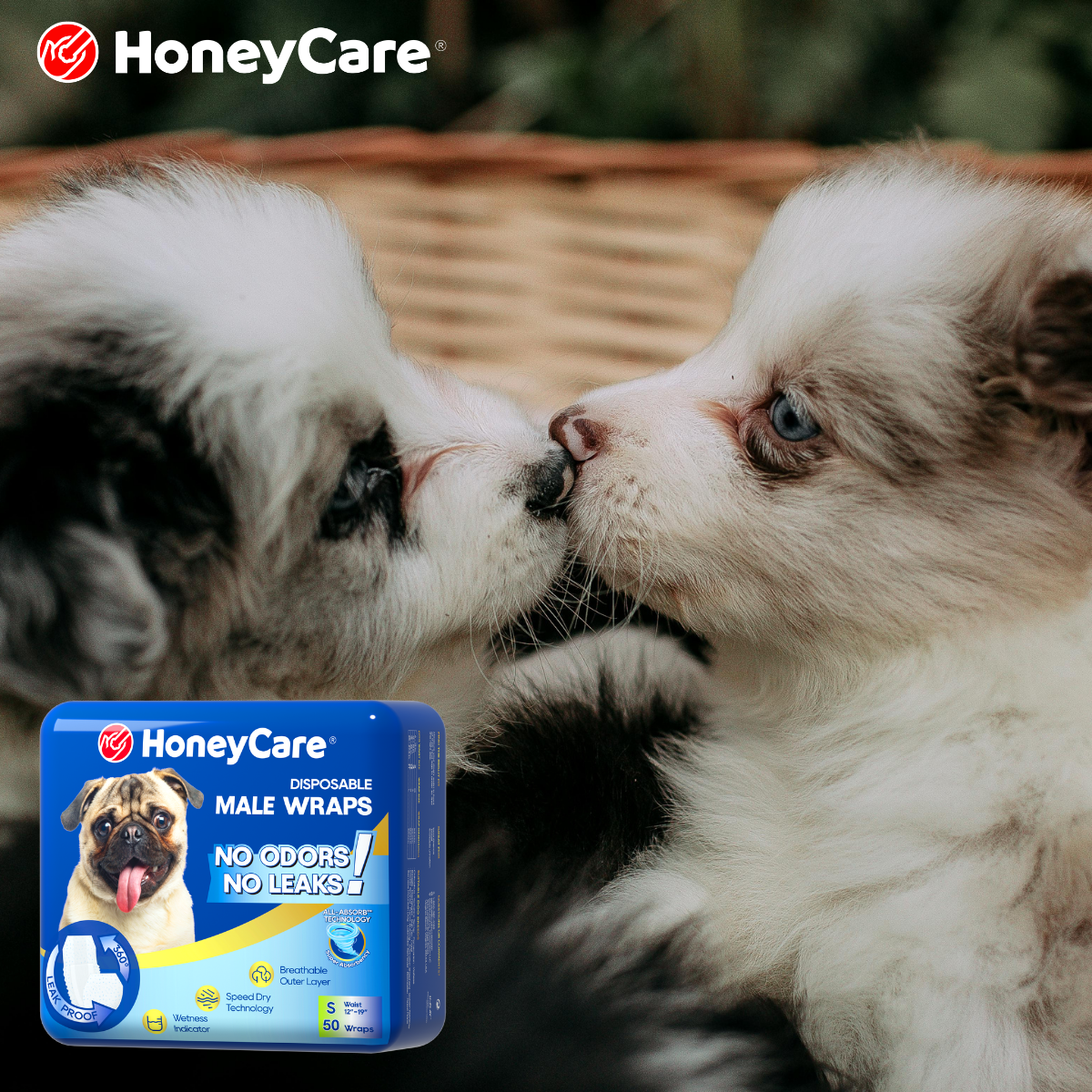 Dog Period Bedding Protection: Ultimate Stress-Free Guide