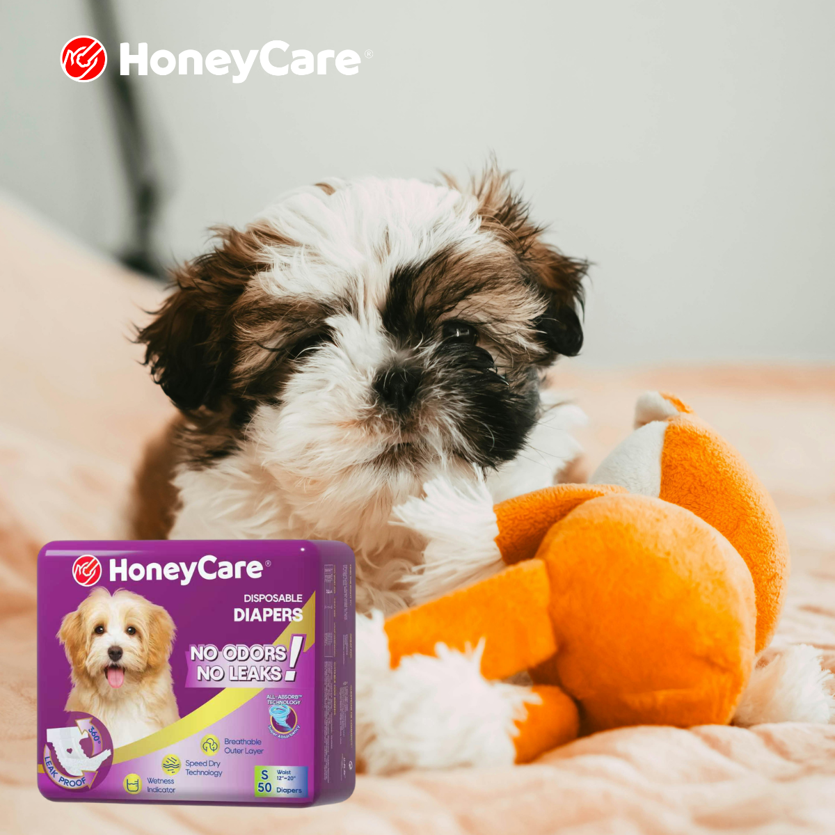 How Long Can a Dog Wear a Diaper — and What Happens When You Leave It On Too Lo