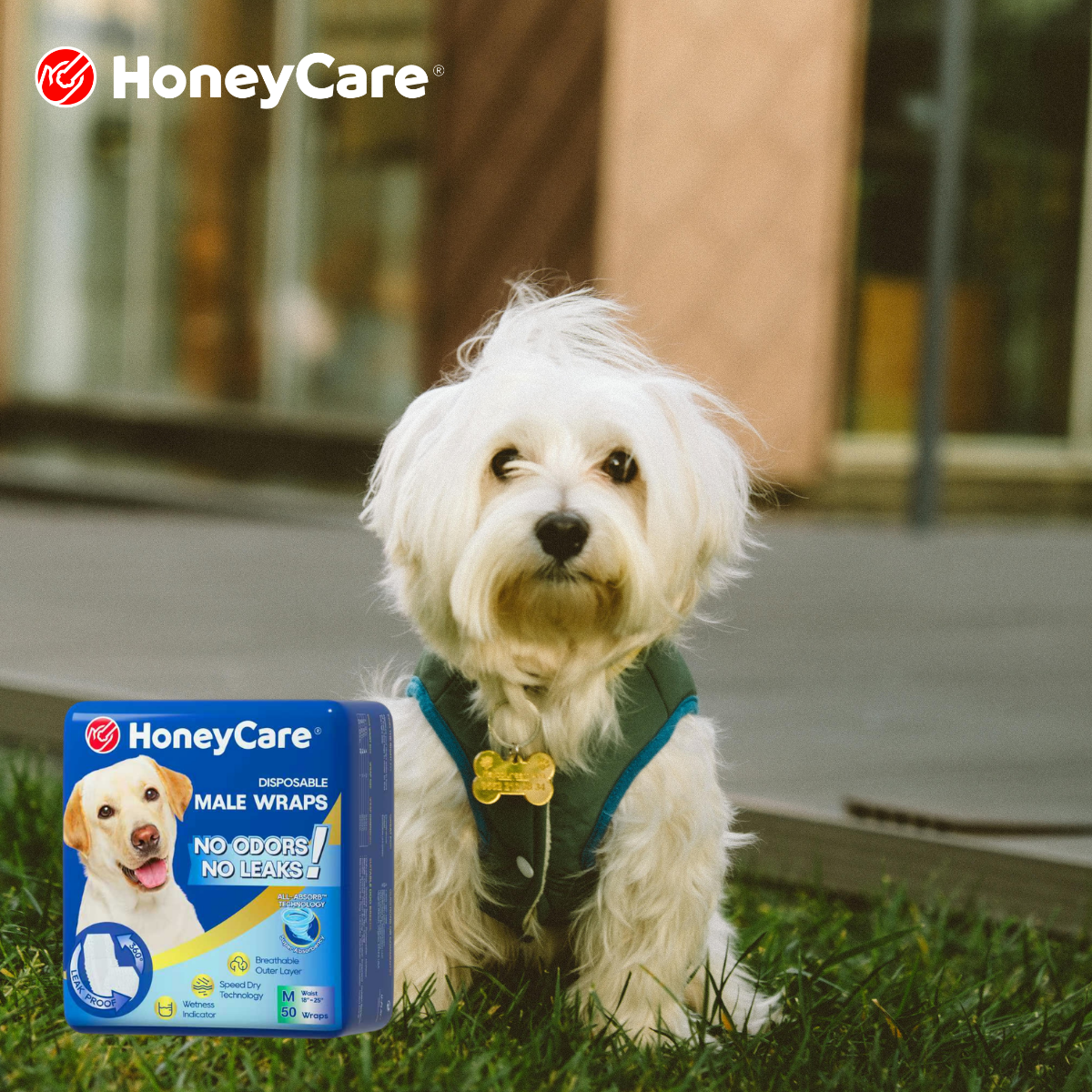 Dog Diarrhea Diaper Cleanup: 7 Brutal Mistakes to Avoid