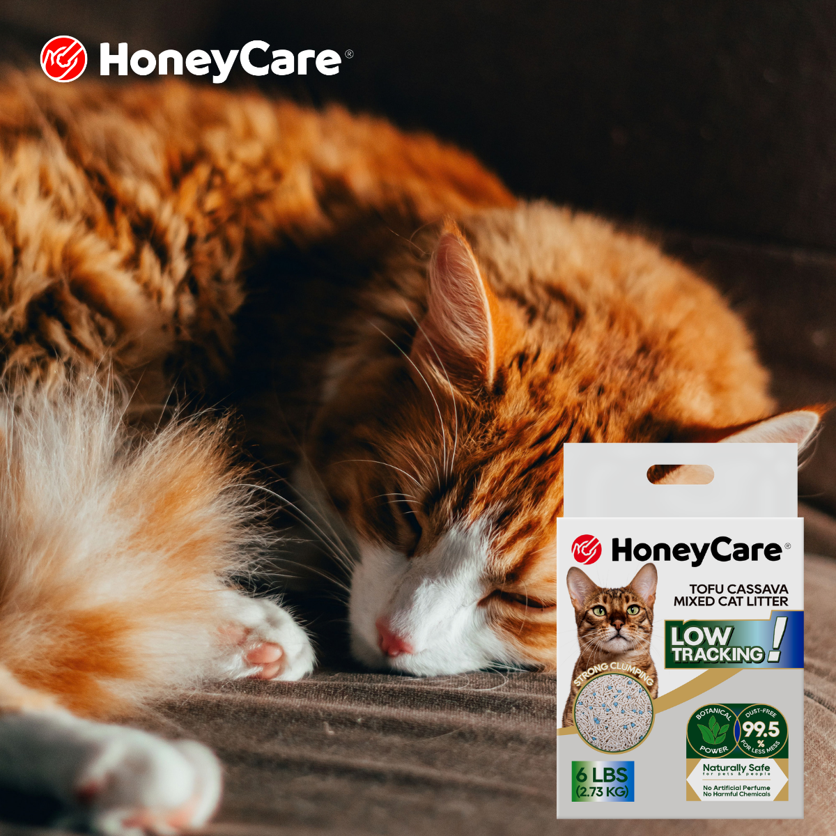 Tofu Cat Litter: The Complete 2026 Buyer's Guide