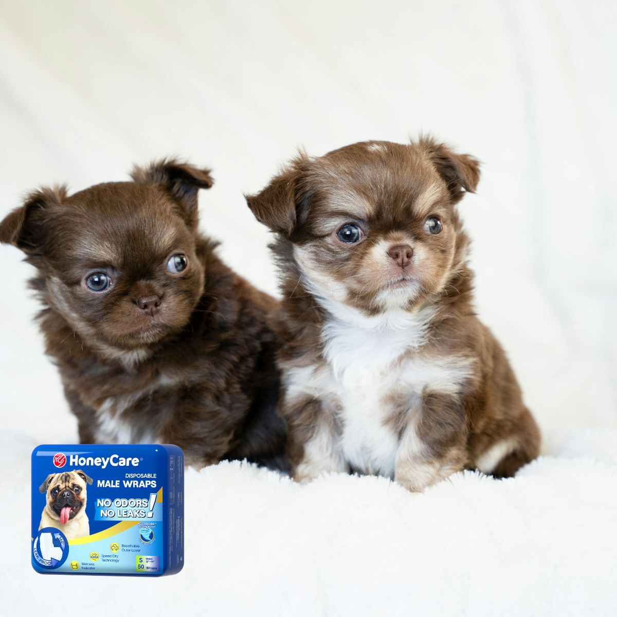 Do Dogs Hate Diapers? Shocking Truth About Canine Shame