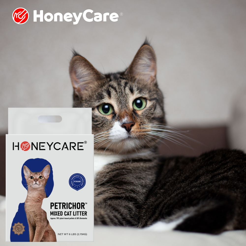 Why Cat Litter Smells Like Ammonia