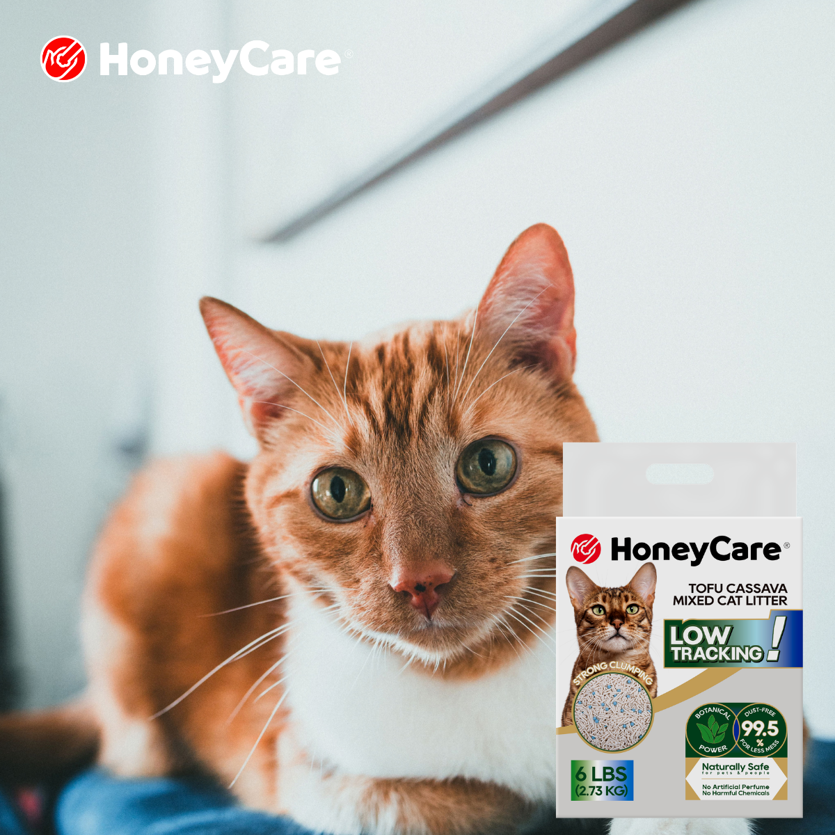 Litter Box Cleaning Schedule: Daily, Weekly, and Monthly Tasks