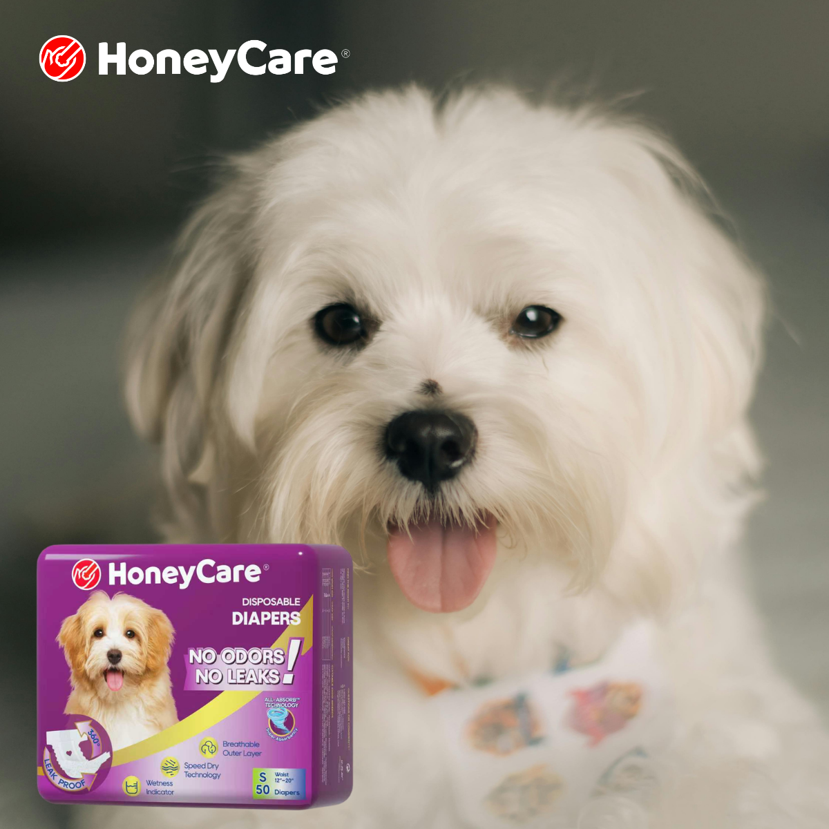 Super Absorbent Polymer Pet Diapers: Proven Rash Defense