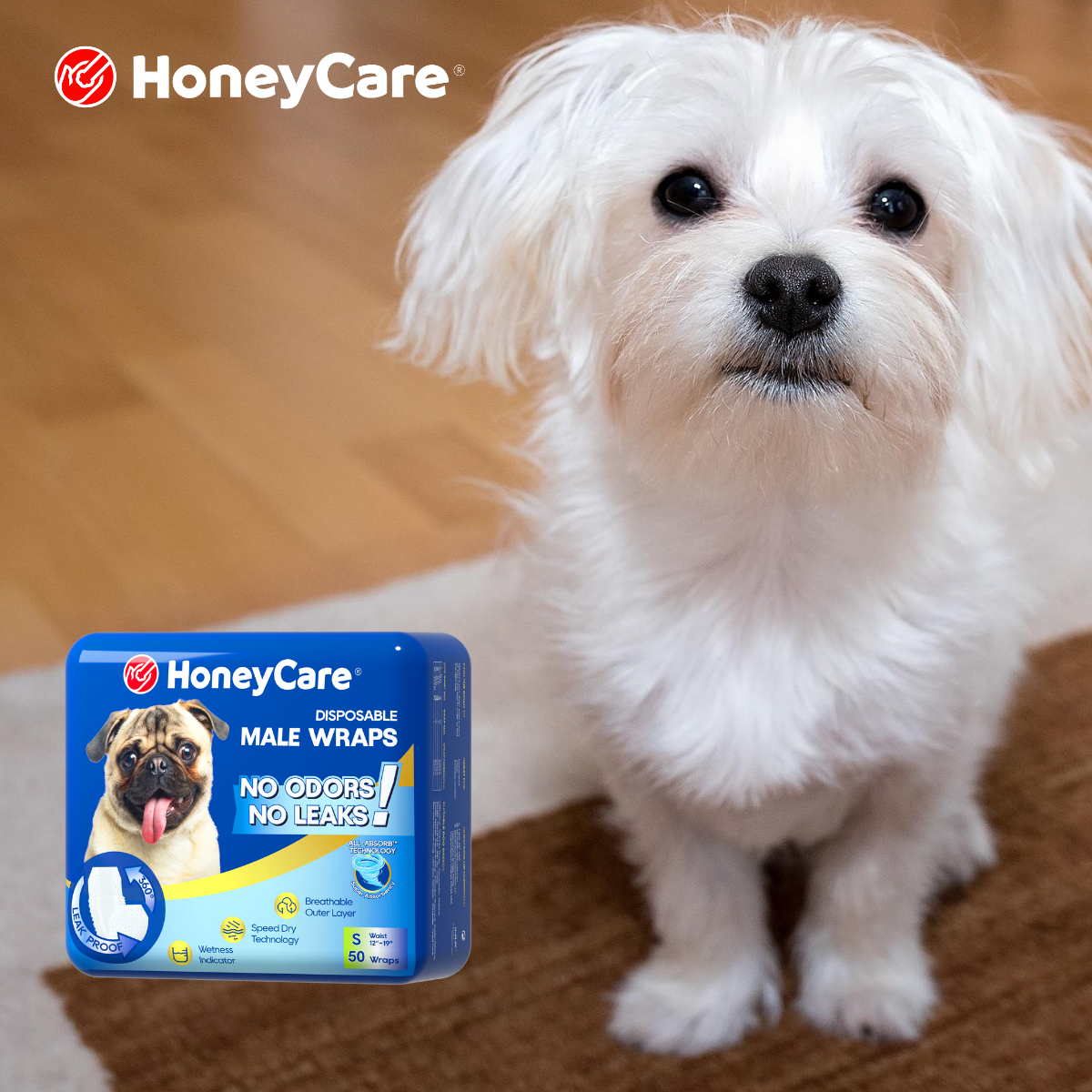Puppy Pad Training Regression: Why Accidents Return