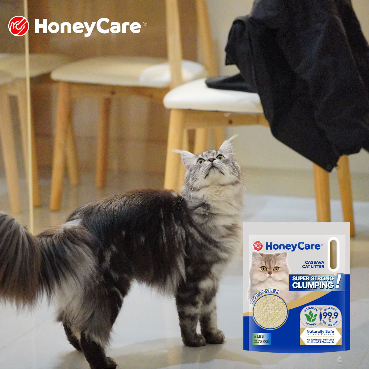 Tofu Cat Litter vs Corn Cat Litter: Clumping, Odor, and Mess