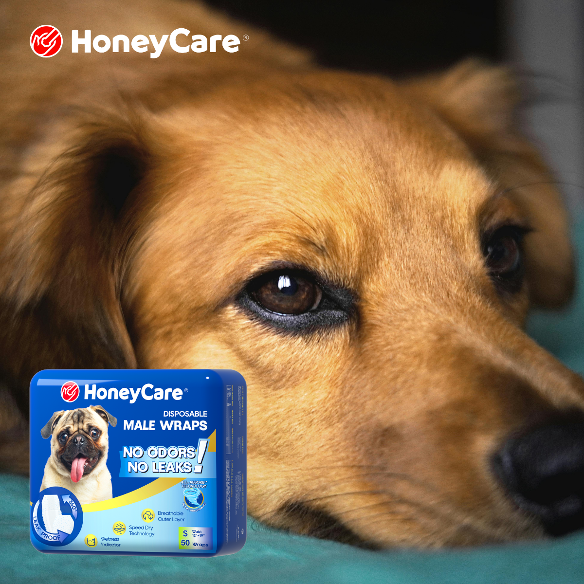 Male vs Female Dog Diapers: 7 Critical Differences