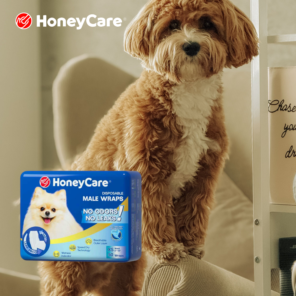 Senior Dog Weight Loss and Diaper Fit: When to Re-Measure