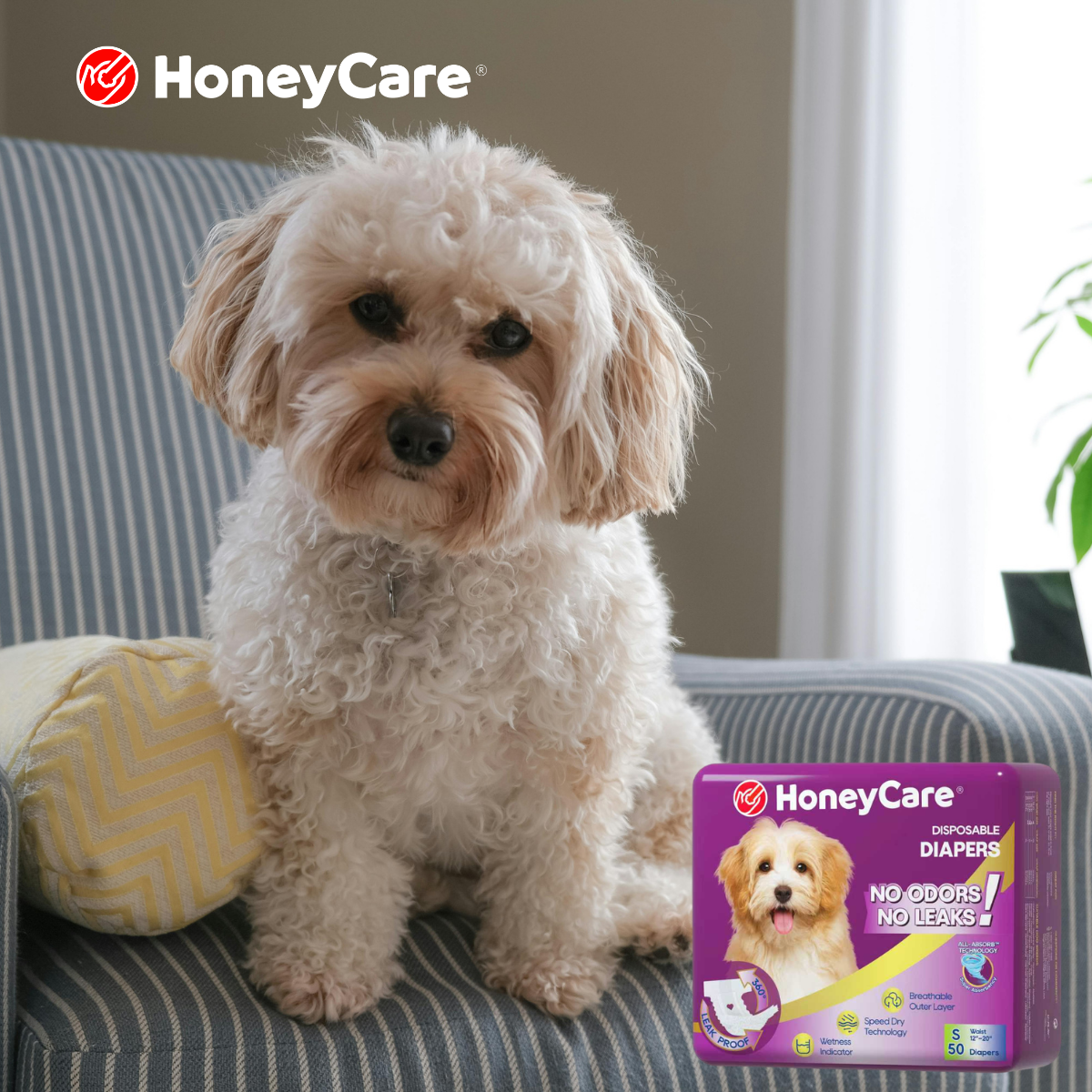 Are Dog Diapers Safe for Daily Use? What Changes After 7 Days of Continuous Wear