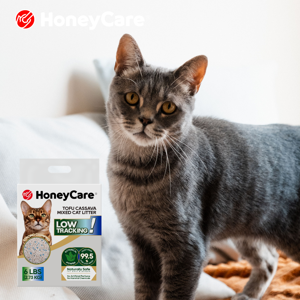 Cat Litter Scoop Guide: Why Scoop Shape Matters