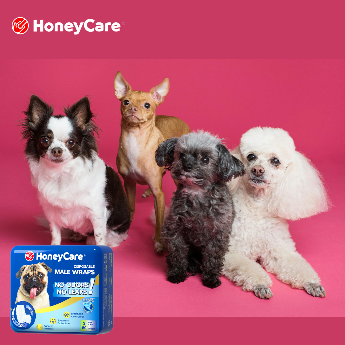 Disposable vs. Washable Dog Diapers: Why "One-and-Done" Might Be Greener Than You Think