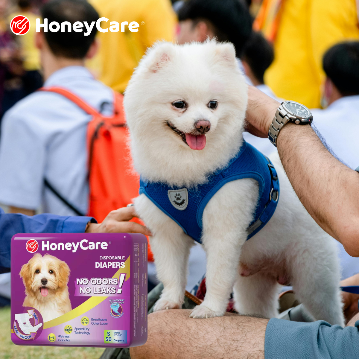 Dog Diaper Rash Symptoms: Identify and Treat It Fast (Proven Tips)