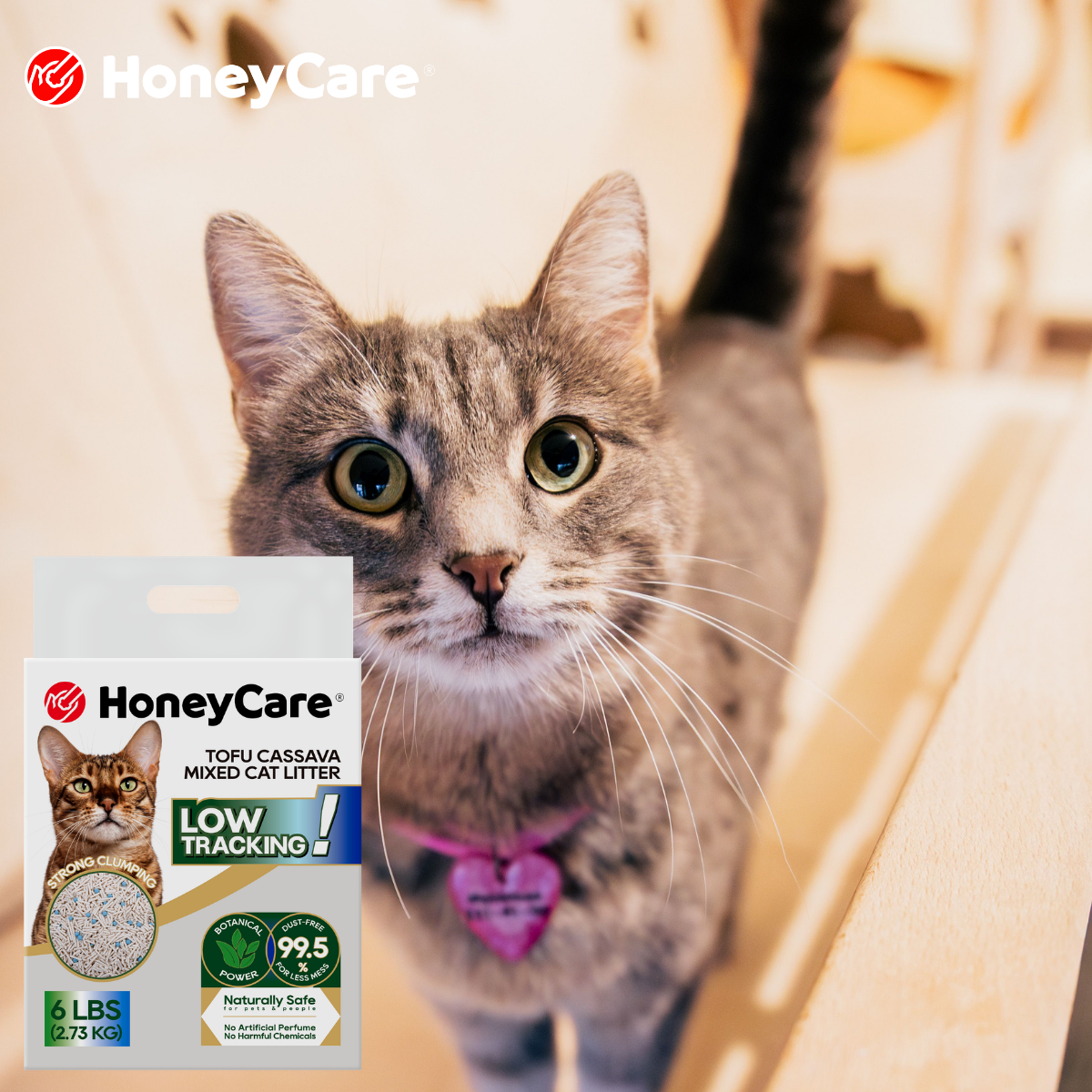 Low Dust Cat Litter: The Clear, Honest Comparison