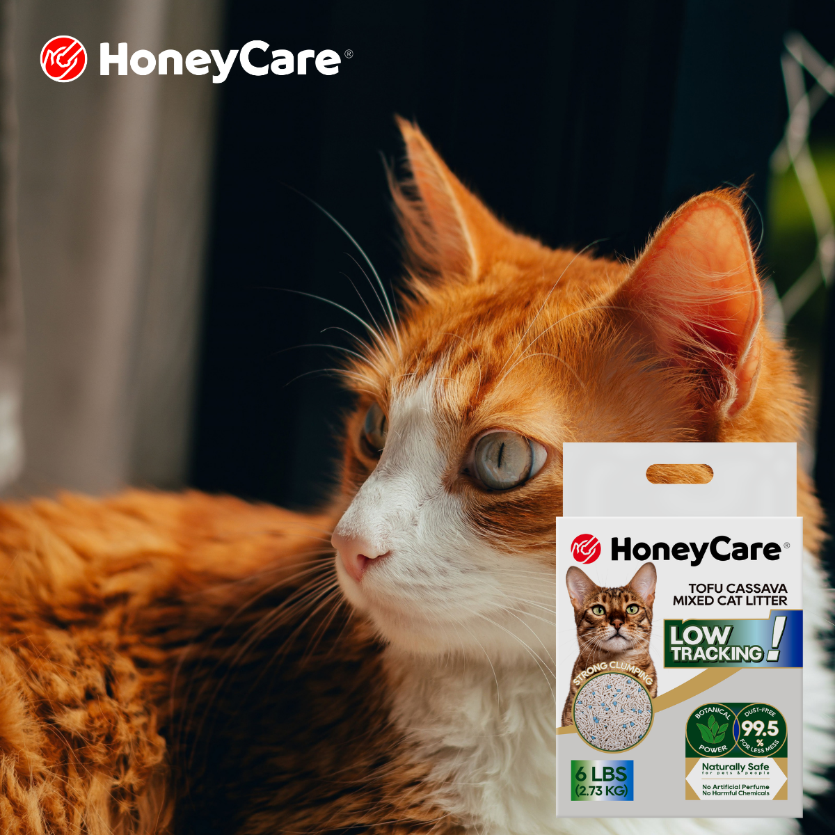 Honeycare Cat Litter vs Top 5 Brands: 2026 Side-by-Side