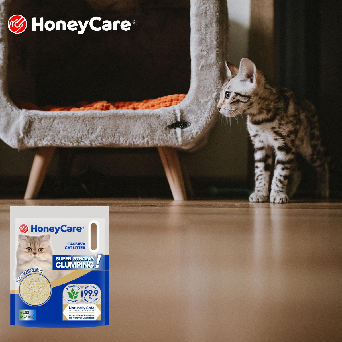 The Best Cat Litter Routine for Busy Cat Parents