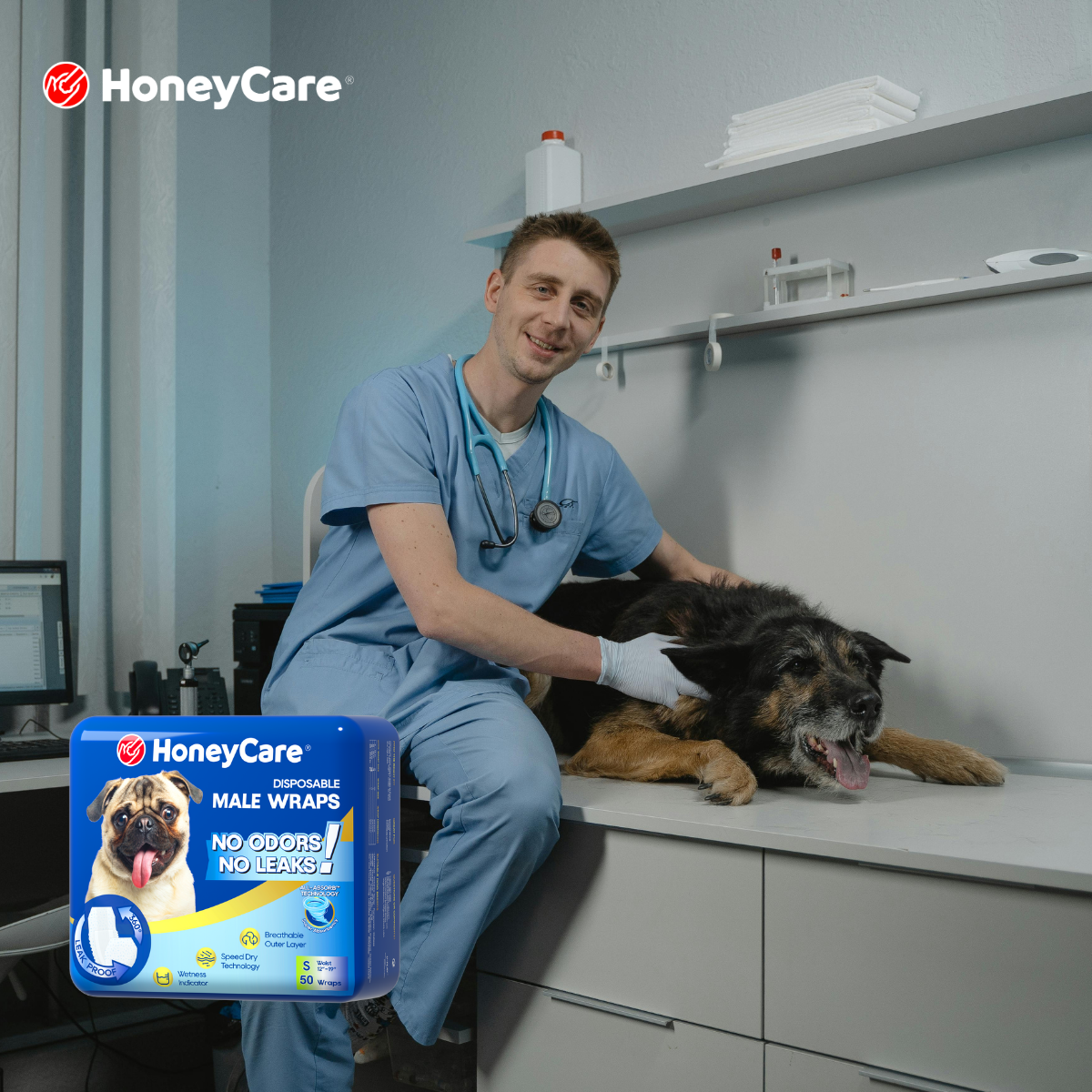 Troubleshooting Messes: Why Your Dog Wrap Leaks and How to Fix It