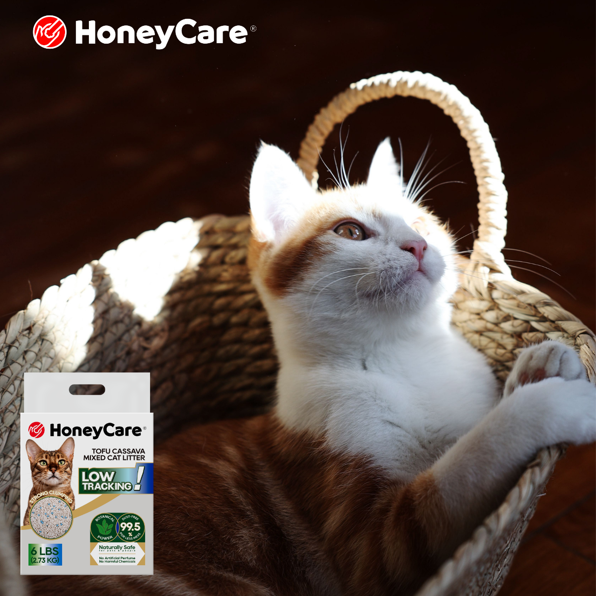 Non-Stick Cat Litter: Why It Matters for Daily Scooping
