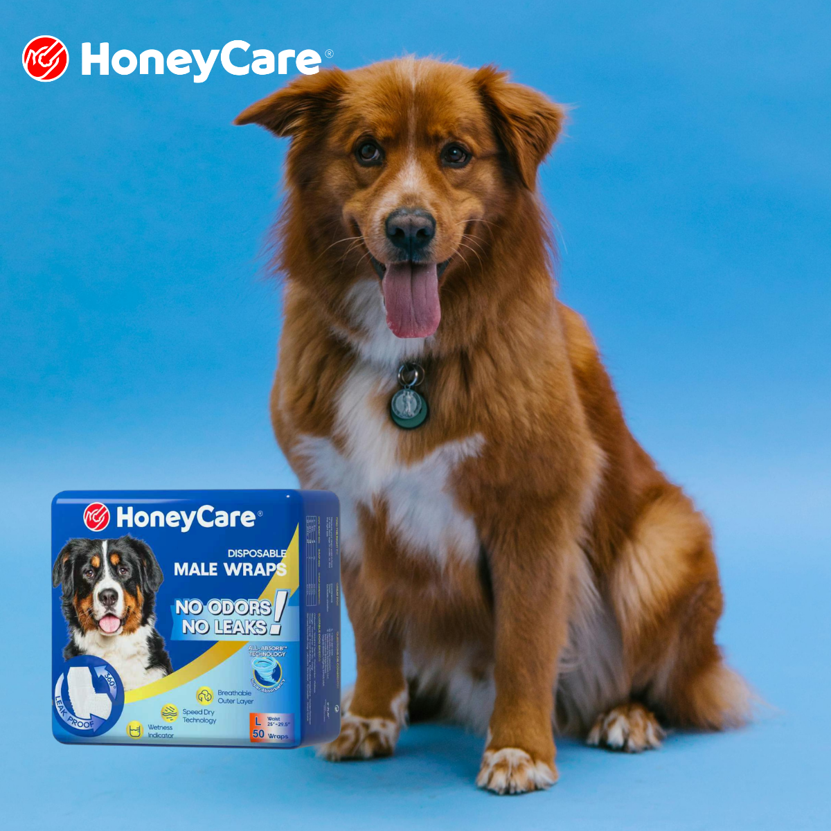 Senior Dog Incontinence Diapers: 9 Proven Care Tips