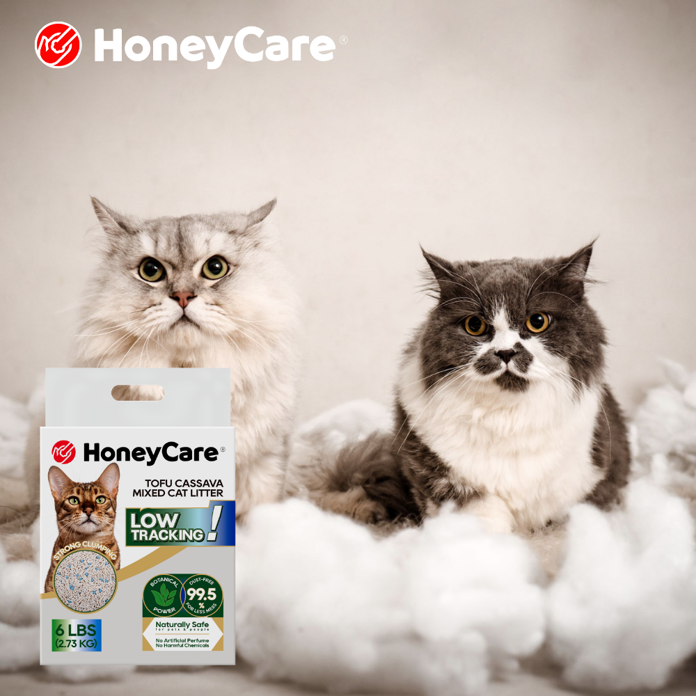How Much Cat Litter to Use Each Month?