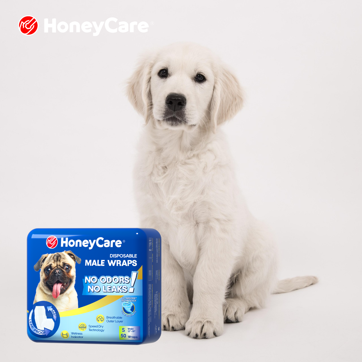 Dog Diaper Booster Pads and Liners: Do You Need Them?