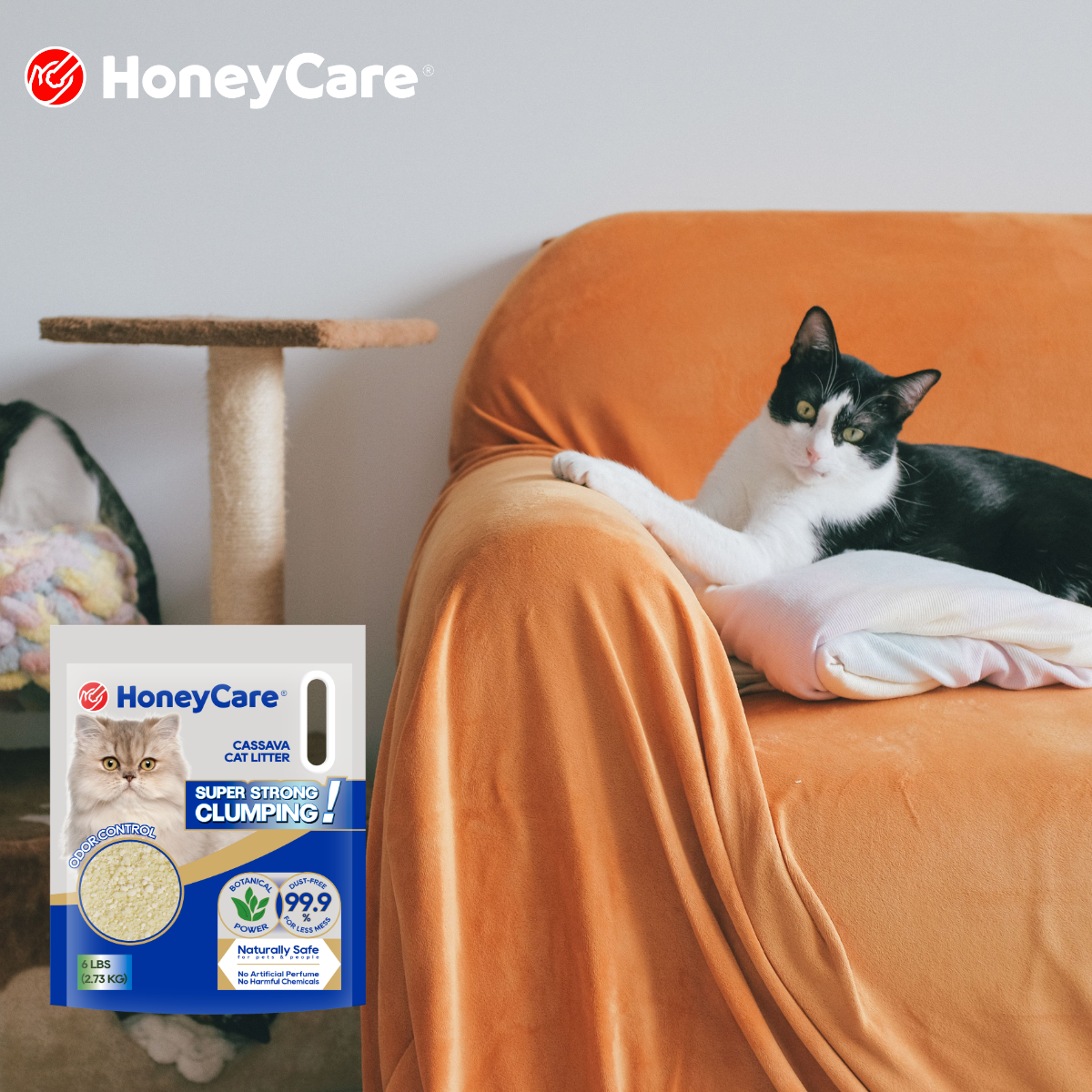 Biodegradable Cat Litter: What It Means and What to Check