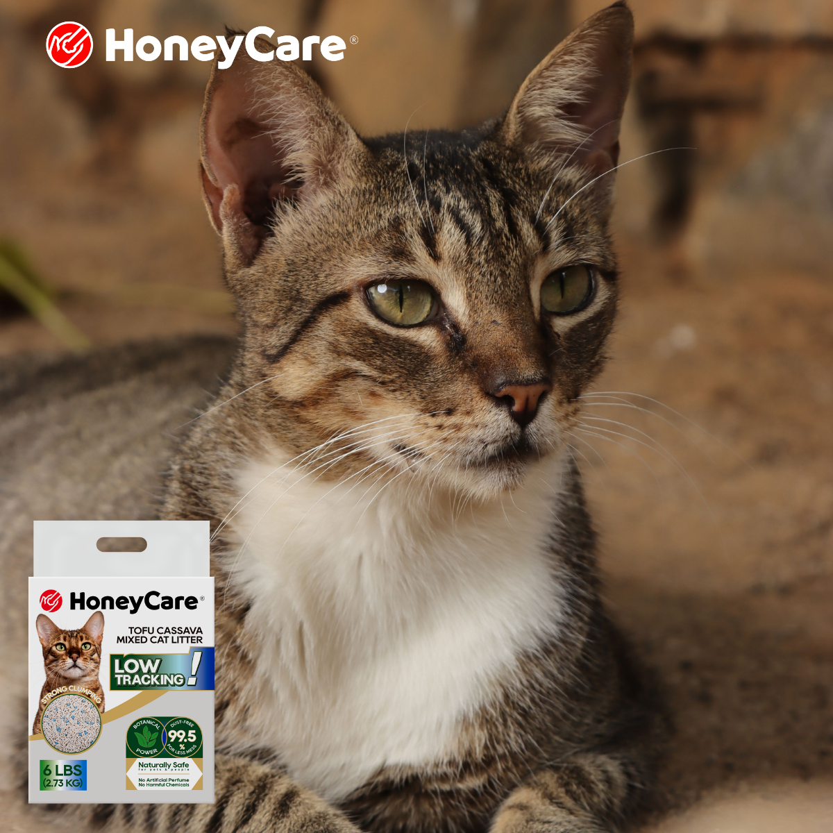 Cat Litter for Cats with Sensitive Paws