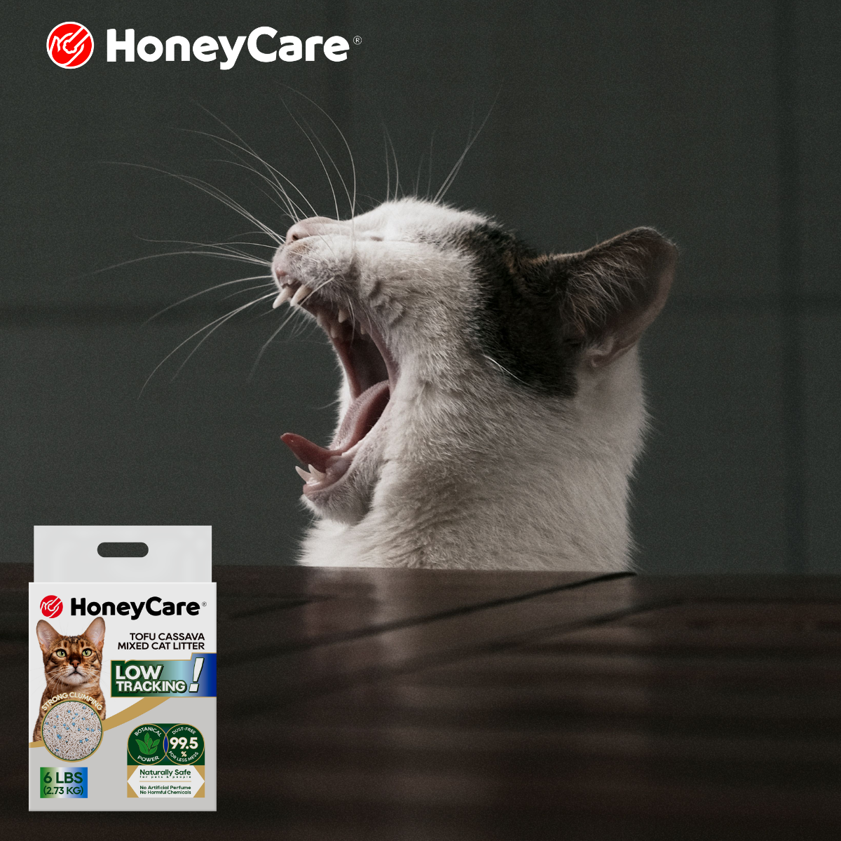 Cat Litter for Multi-Cat Homes: Clumping and Odor Control