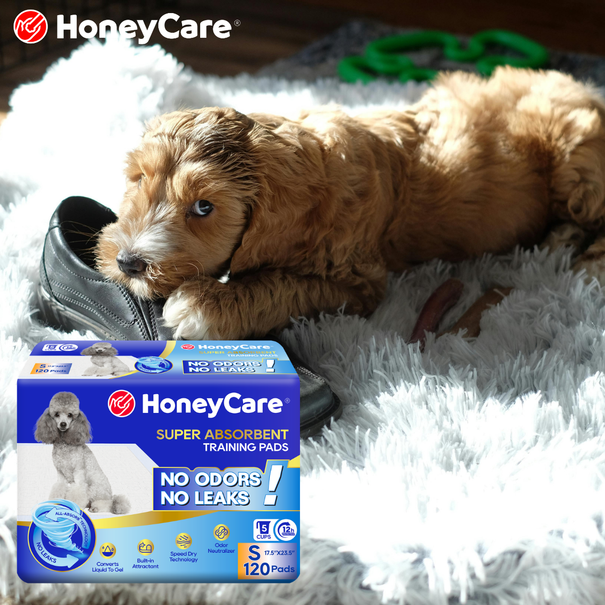 Dog Keeps Missing the Pee Pad: 7 Reasons and Fixes